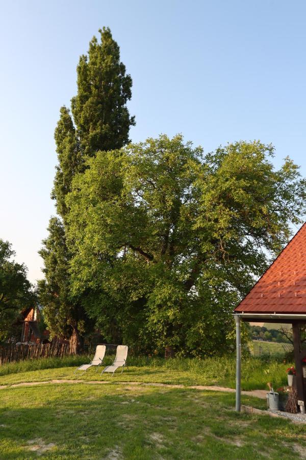 Hiska Pod Klumpo Villa Ormoz Dış mekan fotoğraf